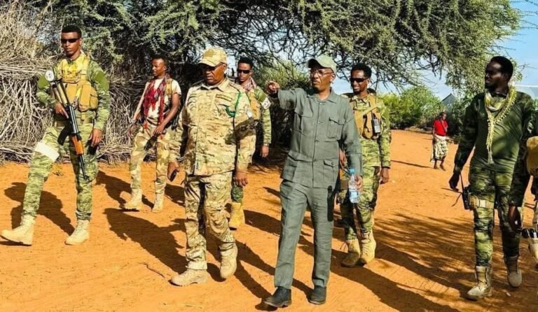 Taliyaha Nisa oo Gaaray Degmada Moqokori