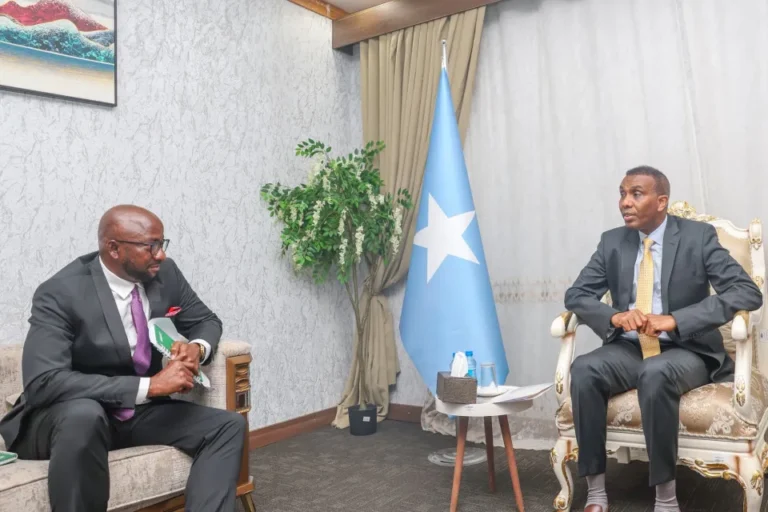 PM Hamza receives newly appointed Acting Special Representative of the AU Commission.