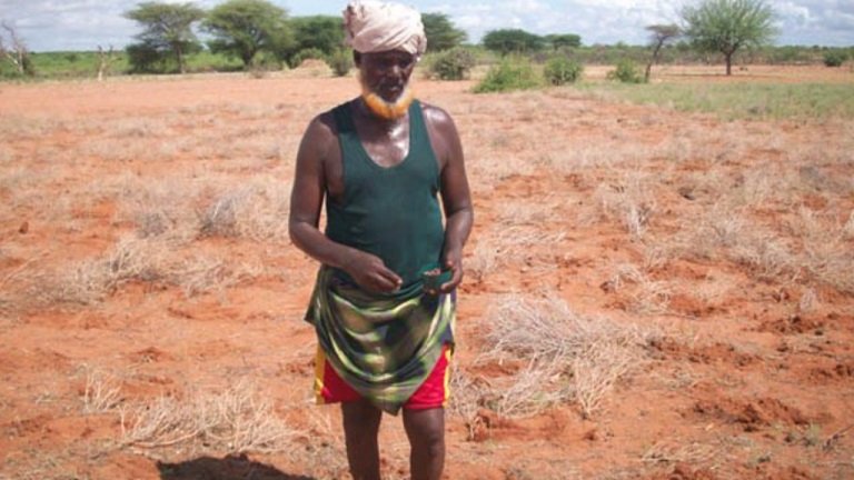 Impact of rural drought hits low income families and their children in Dhusamareb.