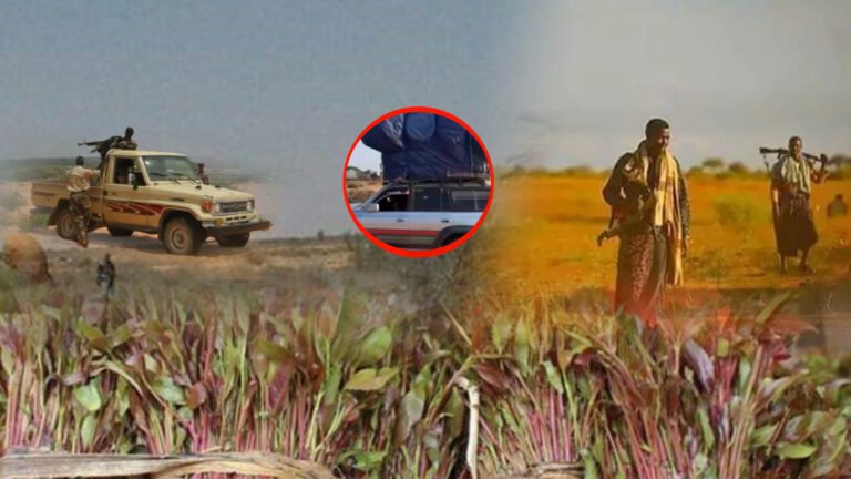 {DAAWO MUUQAALKA} Gadiid iyo dadkii Saarnaa oo lagu Afduubtay Gal-gaduud.