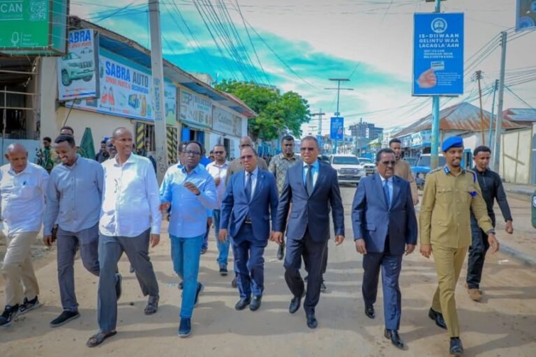 Second Deputy PM Leads National Task Force in Assessing Flood Damage in Mogadishu.