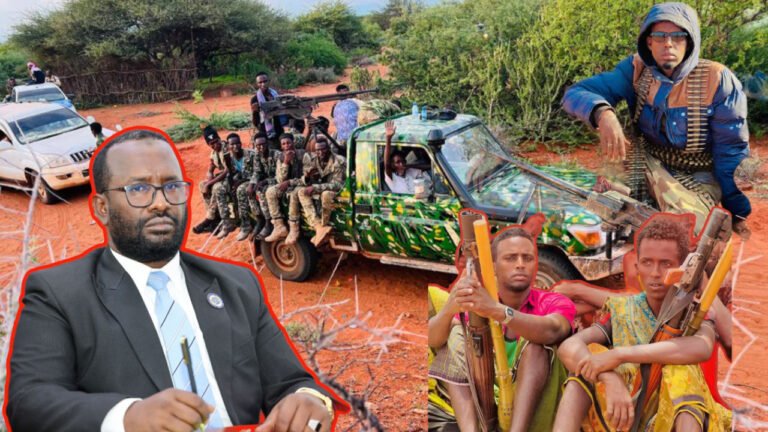 {DAAWO MUUQAALKA} Macawisleeyda Xaqii Loogu tala-galay Dad Kale ayaa dhax u taagan. Xildhibaan Dr Axmad