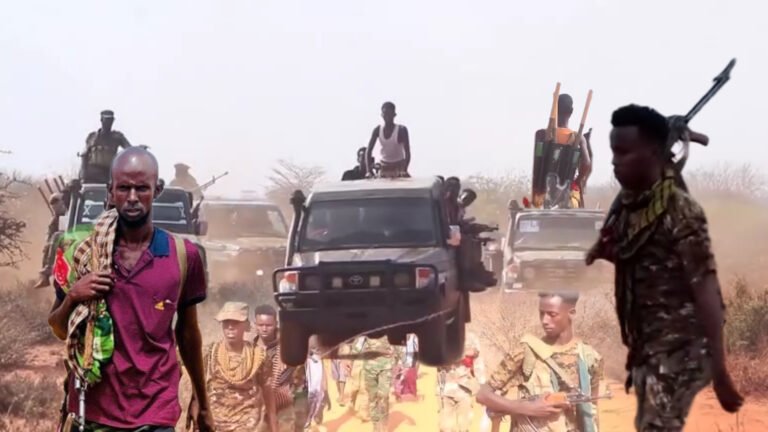 Marinada miyiga oo ay isticmaalaan AS ayaa la bartilmaameedysaday sida ay Sheegtay DSF.