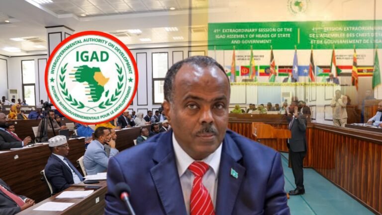 {DAAWO MUQAALKA} Maxuu yahay Heshiiska Dhax maray DFS iyo IGAD.?