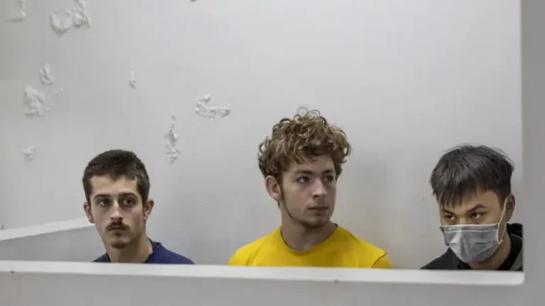 Kenya court fines four men for trafficking thousands of queen ants