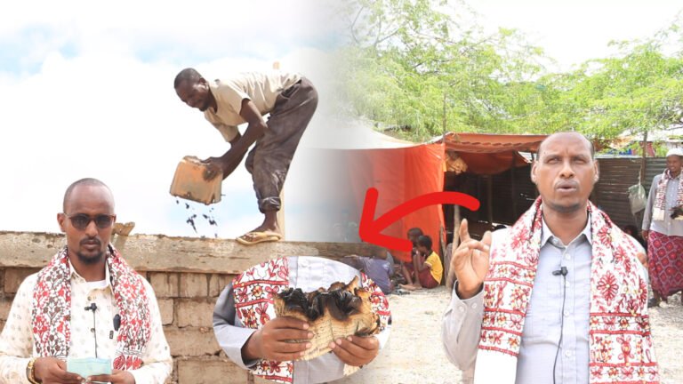 {DAAWO MUUQAALKA} Dugsi Quraankii dhawaan Baladweyne lagu Gubay oo Dib u dhis lagu Billaabay.