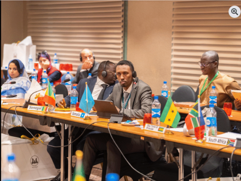 Somalia Joins African Data Protection Association (NAPDA)