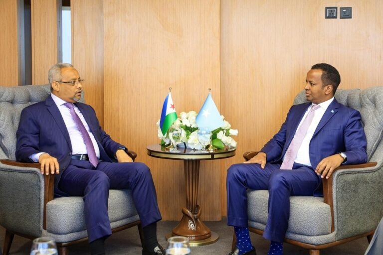 The Somali Foreign Minister is looking for common interests with his Djibouti counterpart.