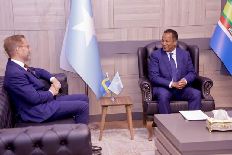 Somali FM Discusses Enhanced Bilateral Cooperation with Swedish Ambassador.