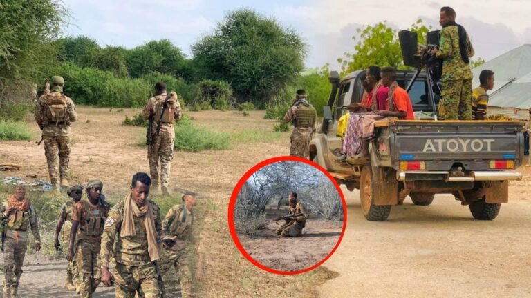 {DAAWO MUQAALKA} Wararkii ugu dambeyay Howlgalo laga Fuliyay Sh/hoose iyo J/hoose