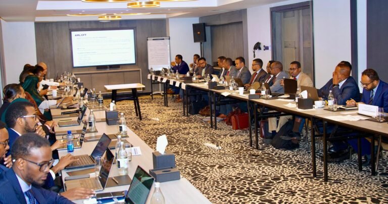 {DAAWO SAWIRADA} DFS iyo Hay’adda Lacagta Adduunka ee IMF oo uu Shir uga furmay Nairobi.