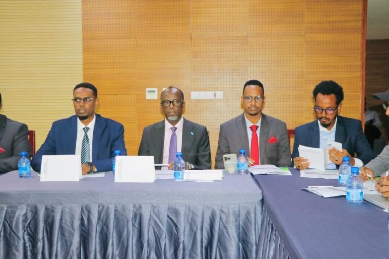 A Consultative Conference on Business Registration and Licensing Law Opens in Mogadishu