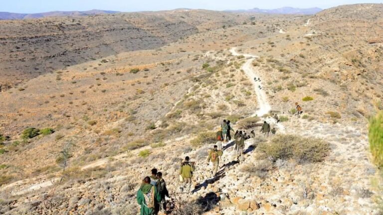 Maxaa Ka jiro in Ciidanka Puntland aay la wareegay deegaanka Tog Miiraale?