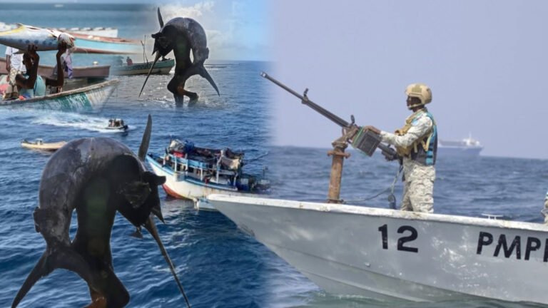 {DAAWO MUUQAALKA} Maxay yahiin Doonta iyo dadkii waday ee u gacan galay Ciidamada Amaanka Puntland?