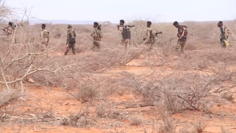 {DAAWO MUUQAALKA} AS Waan kaga adkaanay Ceel-Hareeri Wax Yar ayaa dhiman.