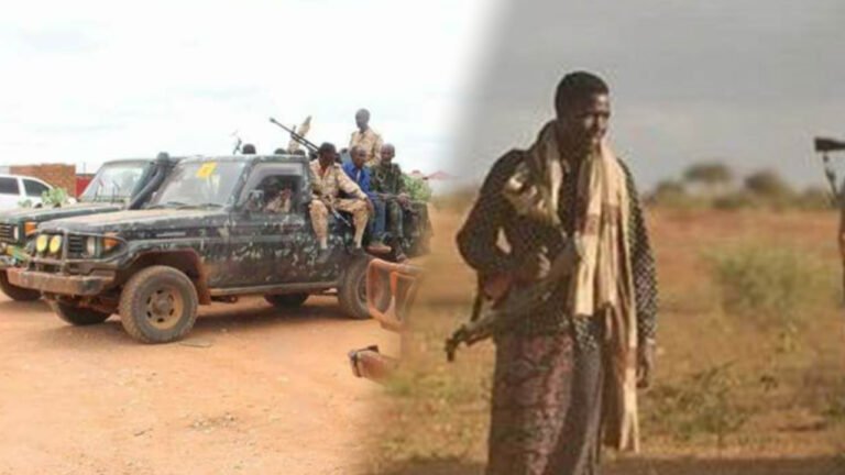 {DAAWO MUUQAALKA} Dowladda Soomaaliya oo War Kasoo Saartay Horjoogayaal laga Dilay AS