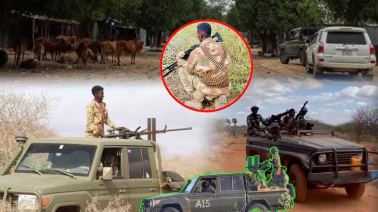 {DAAWO MUUQAALKA} Deegaanada Ay qabsadeen Ciidamada Dowladda Soomaaliya.