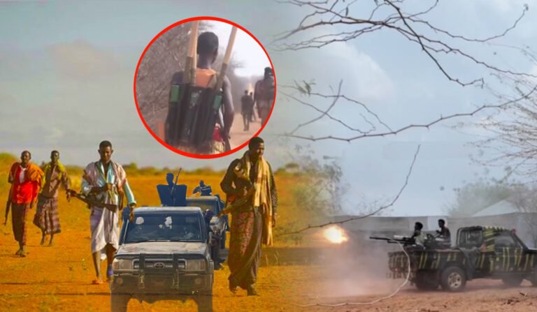 {DAAWO MUUQAALKA} FAAH-FAAHIN: Howlgalo ka socda deegaanka Yasooman ee Gobalka Hiiraan.