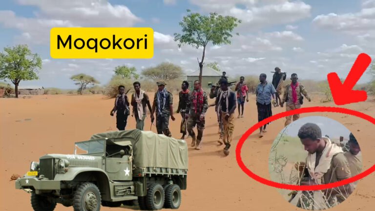 {DAAWO MUUQAALKA} WAR DEG-DEG AH: Maxaa waqtigaan ka socda Degmada Moqokori.