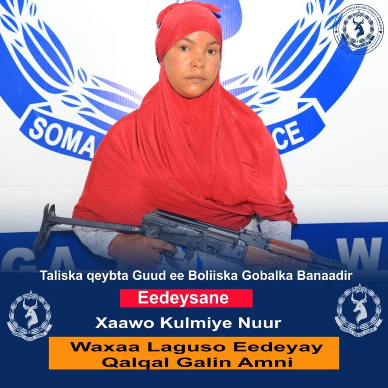 {DAAWO SAWIRADA} Ciidanka Booliska oo gacanta ku soo dhigay 17 qof oo iskugu jira Askar iyo Shacab ku eedeysan qalqal-gelin amni.