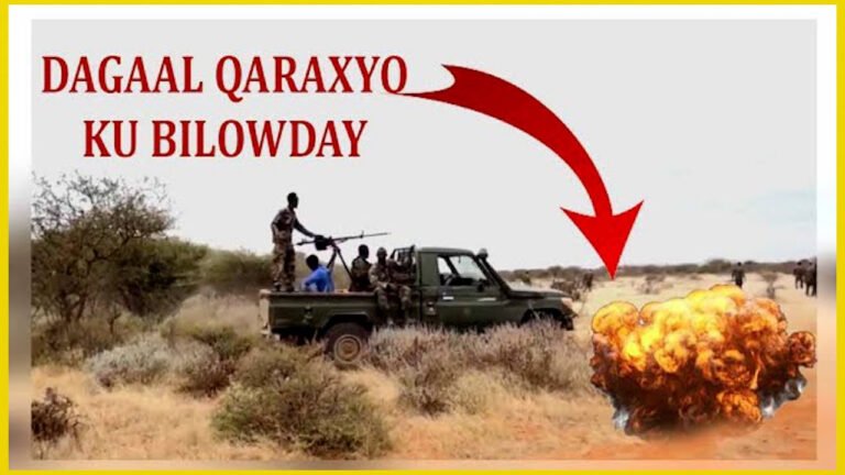 Wararkii ugu dambeeyay Danab oo burburisay Saldhigyo AS Leeyahiin.