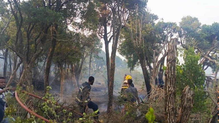 Dab ka kacay Buurta Daallo iyo gurmadka lagu daminayo oo socda