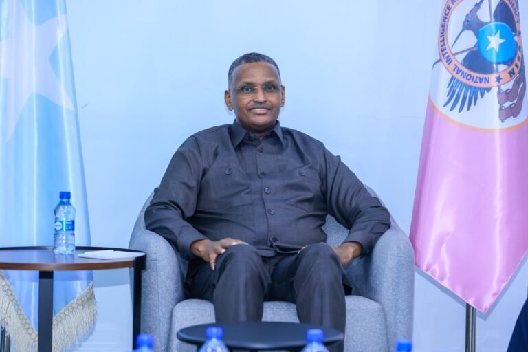 Mahad Salad: Why Somalia is banking on new intelligence chief’s playbook for security.