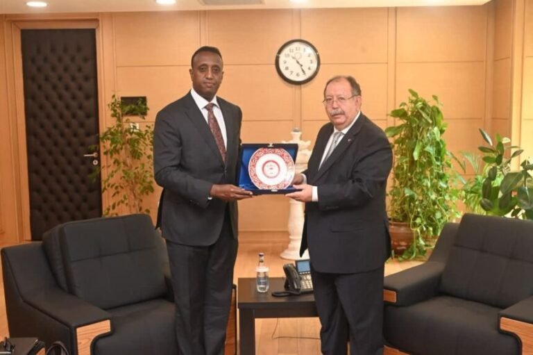 Somalia’s National Independent Electoral Commission Seeks Turkish Expertise in Election Preparedness