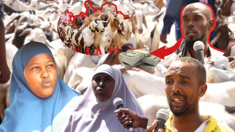 {DAAWO MUUQAALKA} Qiimaha Xoolaha cirka galay xili ay soo socoto Ciidul Adxaha.