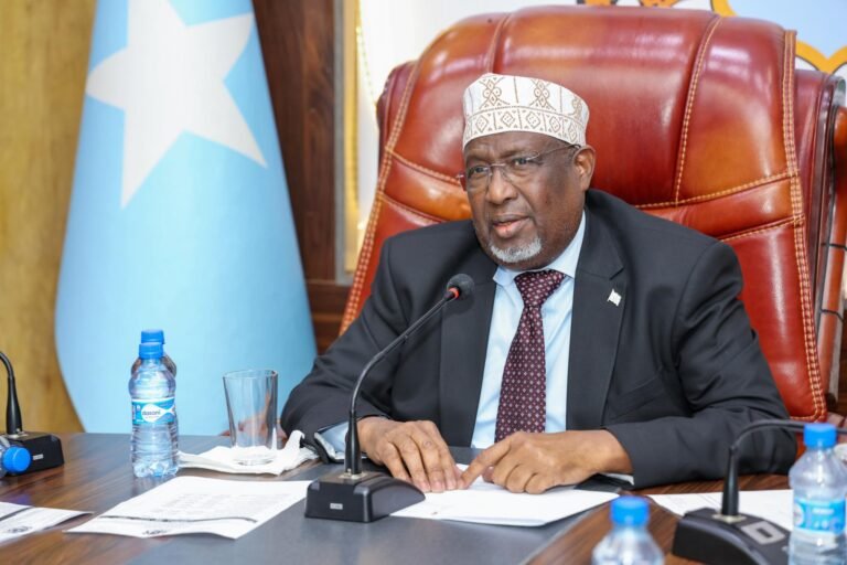 {DAAWO SAWIRADA} Aadan Madoobe oo Shir Guddoomiyay Kulanka Guddiga Joogtada.