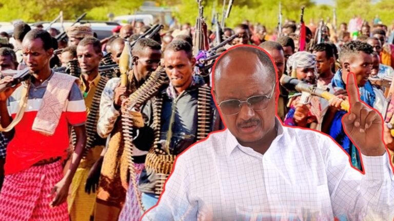 {DAAWO MUUQAALKA} Cali jeeyte si kulu cambaareeyey qaabka loola dhaqmay Ciidamada macawiisleeyda.