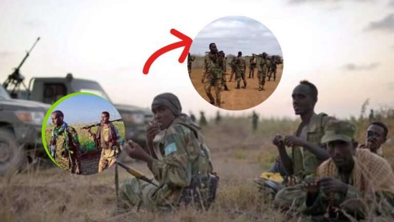 {DAAWO MUUQAALKA} FAAH-FAAHIN: Khasaaraha Dagaalkii Saakay ka dhacay duleedka Baydhabo.