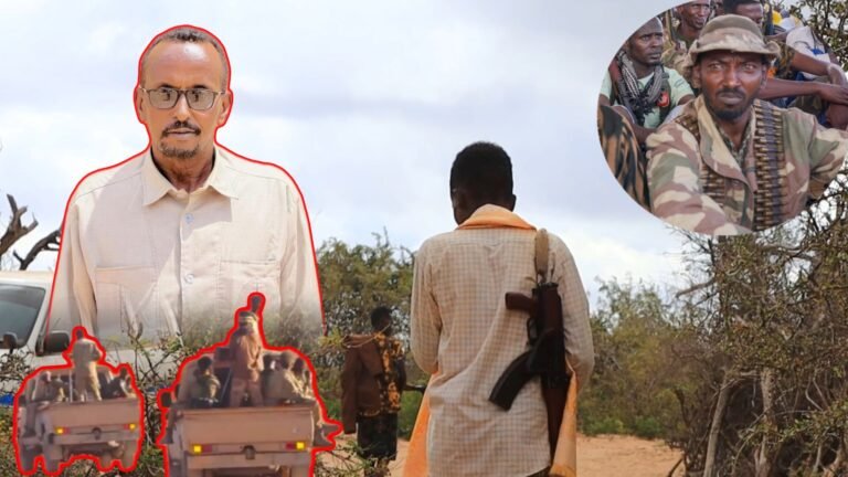 {DAAWO MUUQAALKA} Ciidamada degaanka oo go’doomiyay AS kii weeraray Ceel-Hareeri