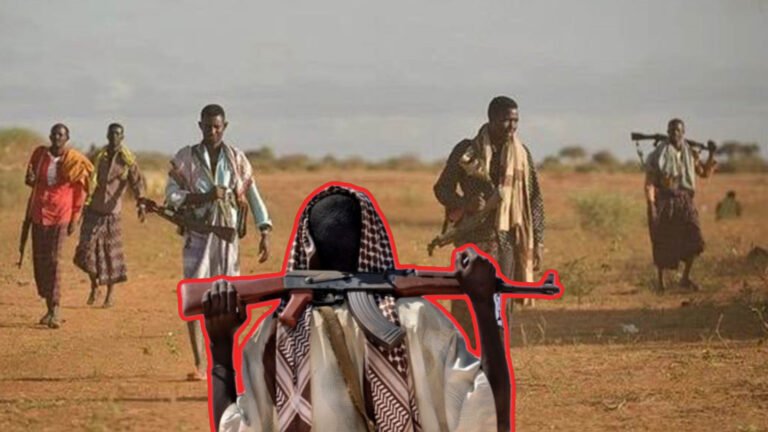 {DAAWO MUUQAALKA} Faah Faahin Khasaaraha Dagaalkii ka dhacay Galgaduud oo kordhay.