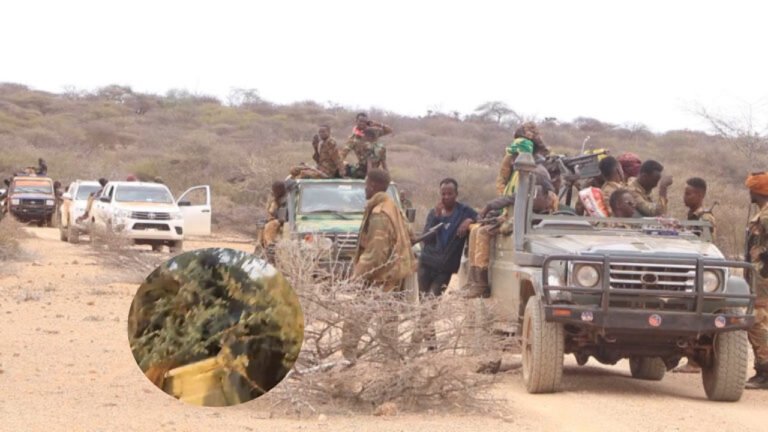 {DAAWO MUUQAALKA} Macwisleeyda Gobolka Hiiraan oo Soo Bandhigay Gaadiid ay ka qabsadeen AS