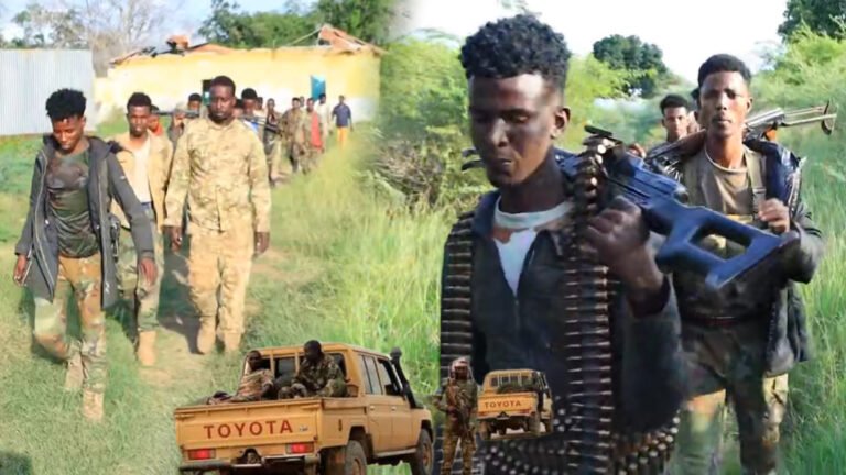 Guri Aroos loo diyaariyay hoos tiisa ayey godad ka qoteen AS-kii laga saaray Caanoole.