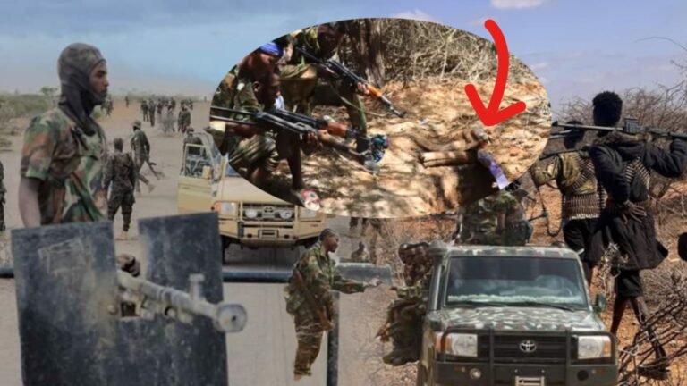 {DAAWO MUUQAALKA} AS Dhulka hoostiisa ayey guryo ka dhisteeyn Sabiib iyo Caanoole.