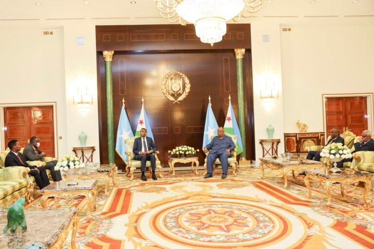 Somali Prime Minister Hamza Abdi Barre Meets Djiboutian President Ismail Omar Guelleh to Boost Bilateral Ties.