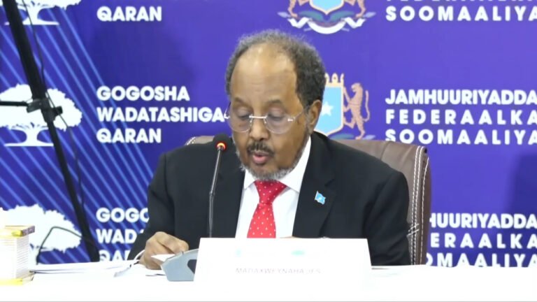 {DAAWO MUUQAALKA} Madaxweyne Xasan Shiikh oo Si adag ugu digay Shisheeyaha faragilinta ku Haayo Soomaaliya..