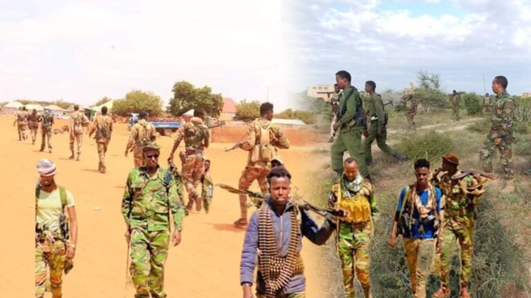 {DAAWO MUUQAALKA} Ciidamada deegaanka oo dilay horjooge ka tirsan AS