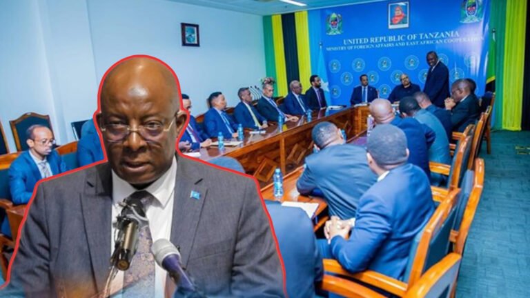 {DAAWO MUUQAALKA} Duulimaad Muqdisho iyo Dar es Salaam ah oo dhawaan bilaabanaya