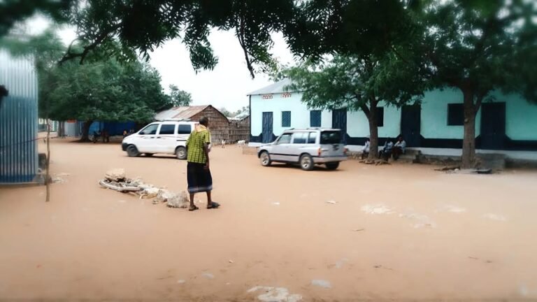 Madixii AS ee Gobalka Hiiraan oo Duqeyn lagu dilay.