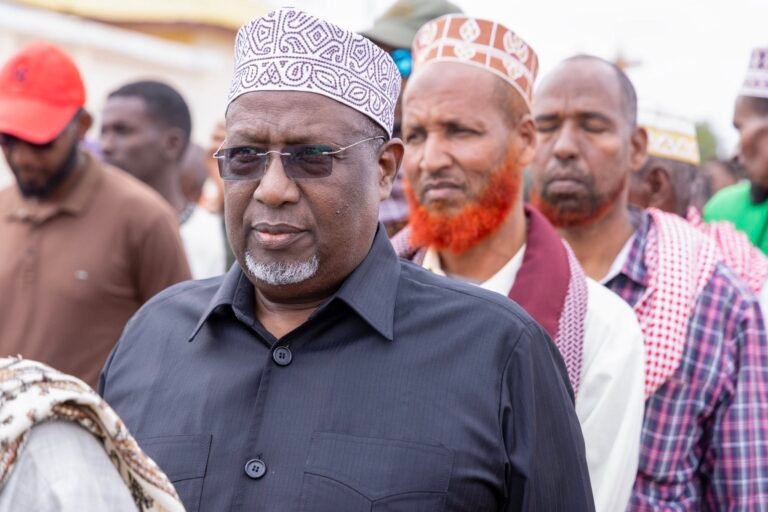 Aadan Madoobe oo magaalada Xudur ka daahfuray isdiiwaangelinta doorashooyinka