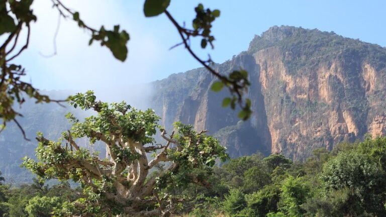 Kolama Xoogan oo ka Soconayo Gobolka Sool iyo Dhisamaha SSC-Khatumo Bilow ah