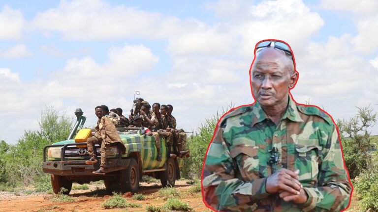 {DAAWO MUUQAALKA} Maxaa ka Cusub Safarka cali Jeyte uu ku Joogo DDS.