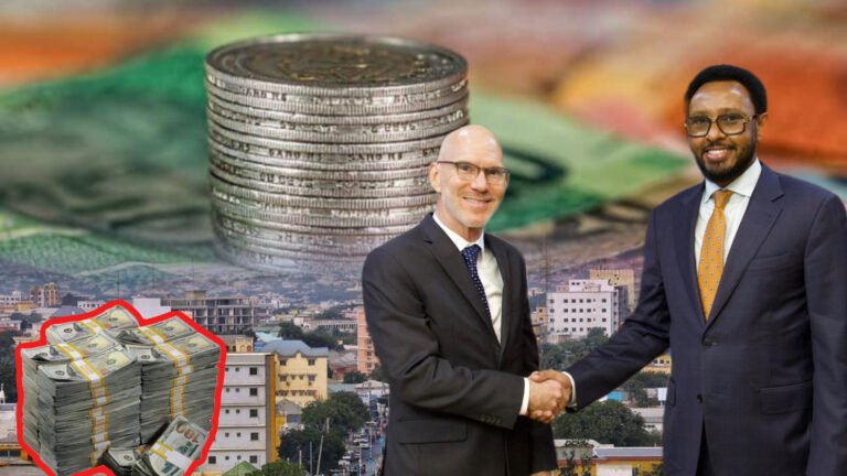 {DAAWO MUUQAALKA} Dib u habeyn cusub oo lagu sameynayo Hanaanka Maaliyadda DF.