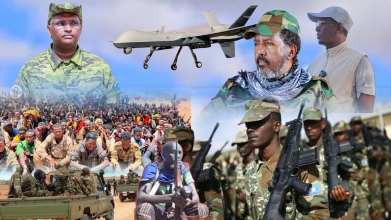 {DAAWO MUUQAALKA} FALAQEYNTA CAAWA ”Qabsashada Deegaanka Tardo iyo kulmada ka soconaya Degmada Maxaas”