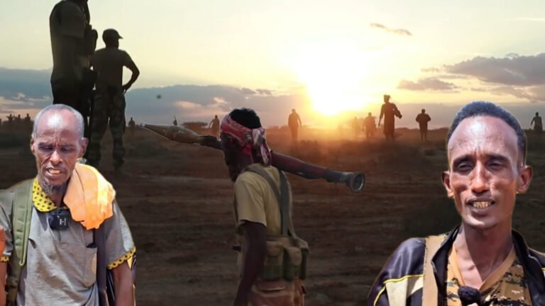 {DAAWO MUUQAALKA} Macawisleey Sheegtay in AS ka saarayaan Deegaanka Tardo.