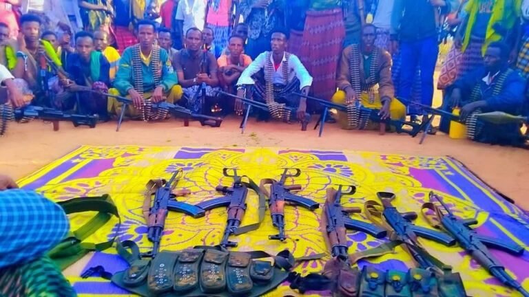 Macwisleeyda Hiiraan oo Howlgal qorsheysan ku dilay Lix kamd ah Maleeshiyaadka AS.