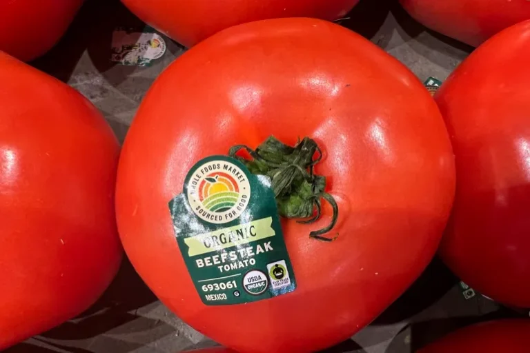 Yaanyada aay Mexico Udhoofiso Mareekanka oo lagu Dalacay Cashuur Gaareeyso 30%.